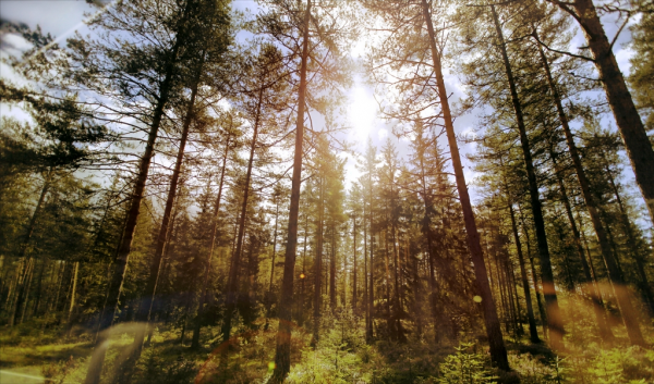 北歐神話與挪威歷史，看挪威歷史之源——挪威簡史1