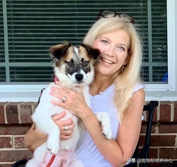 主人為愛犬找玩伴，竟領養到它的親妹妹，但瞭解真相心疼又氣憤