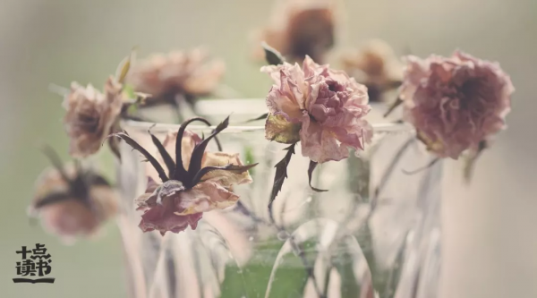 我支援你以貌取人