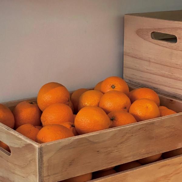 你被哪個句子治癒過