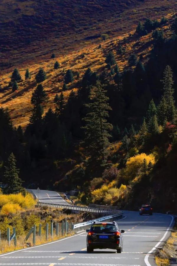 什麼時候去稻城最好？這樣走超級爽