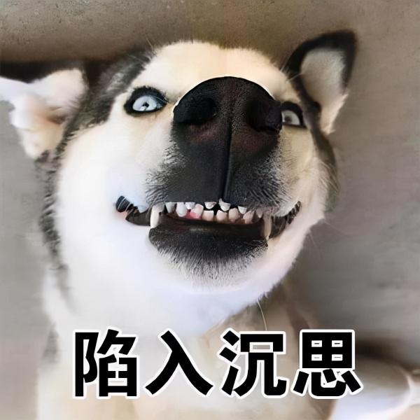 資訊量爆炸!這“不忠狗”排行榜,能顛覆你對這幾種狗的看法 資訊量爆炸!這“不忠狗”排行榜,能顛覆你對這幾種狗的看法