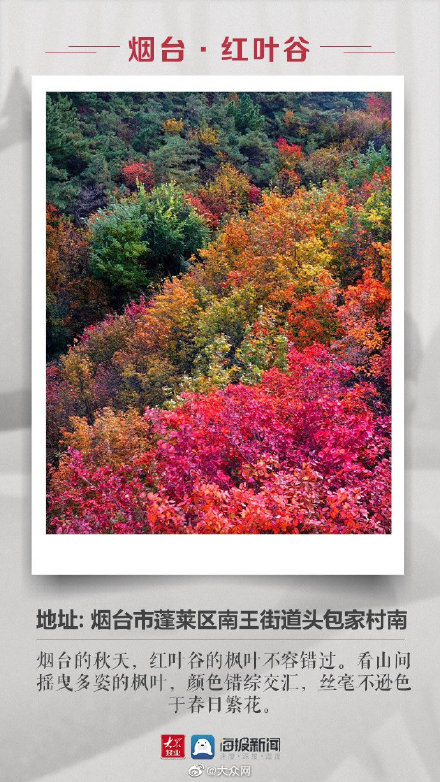 山東這些絕美賞紅葉地不要錯過 山東這些絕美賞紅葉地不要錯過