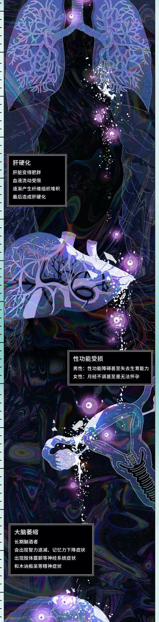 喝酒後24小時人體變化圖鑑