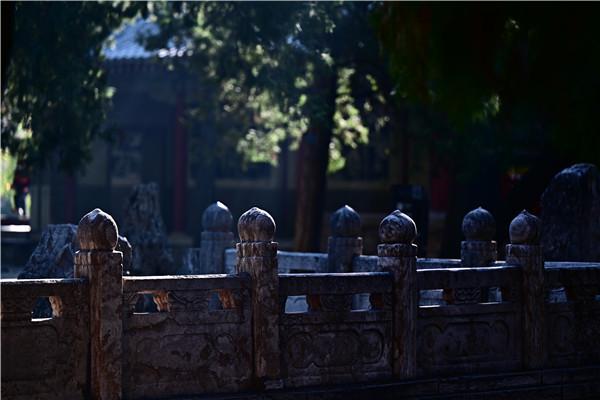 光影交織色彩絢爛 初冬的岱廟又美成了深秋的樣子 光影交織色彩絢爛 初冬的岱廟又美成了深秋的樣子