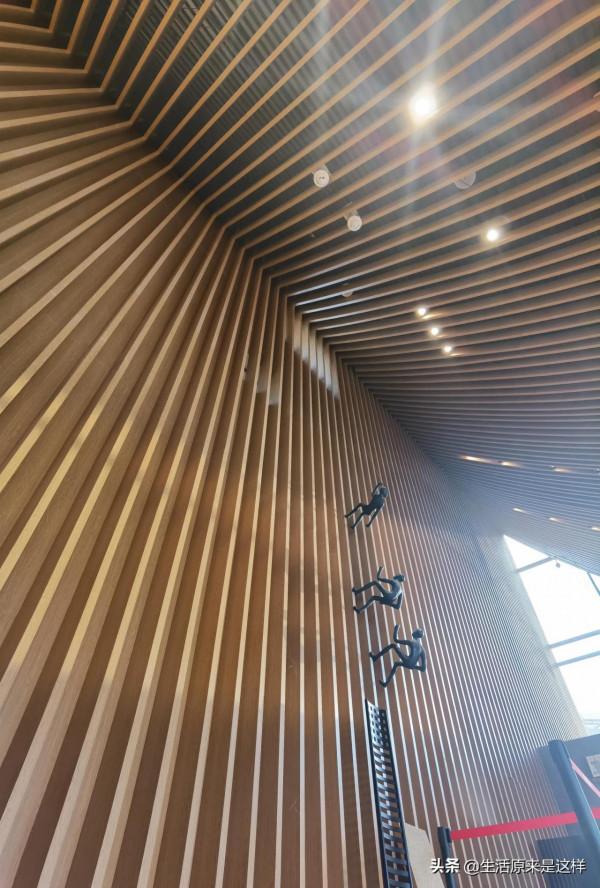 一本從天上掉落的書