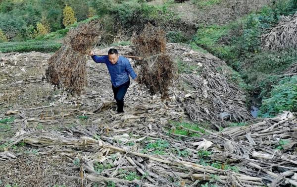 一位縣城公務員的雙休