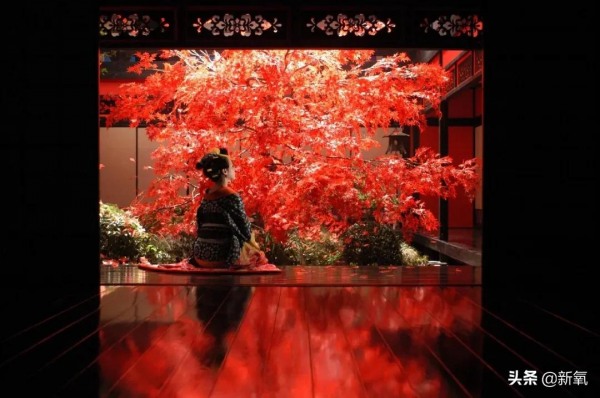 極具視覺衝擊力的日式爆裂美學，肆意而浪漫