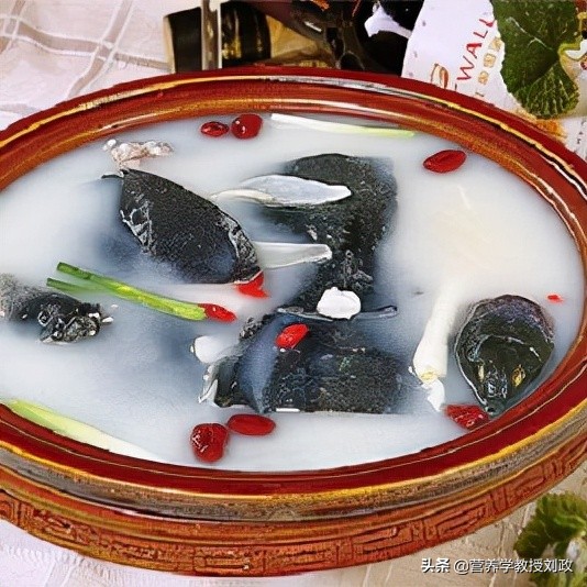 吃甲魚進補,有理論依據嗎?該怎樣補才好呢? 吃甲魚進補,有理論依據嗎?該怎樣補才好呢?