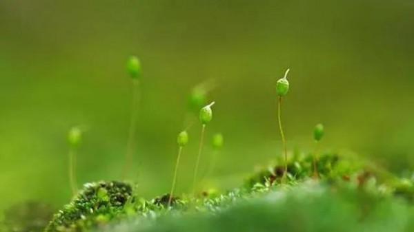 福兮?禍兮?亦或逆向而生? 福兮?禍兮?亦或逆向而生?