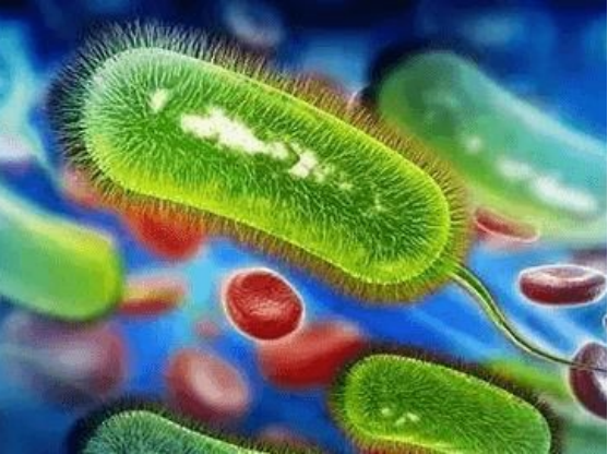 奧美拉唑、蘭索拉唑、泮托拉唑、雷貝拉唑有何區別？哪個作用最好