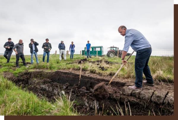 為威士忌增味的泥煤,助長了另一種極端審美 為威士忌增味的泥煤,助長了另一種極端審美