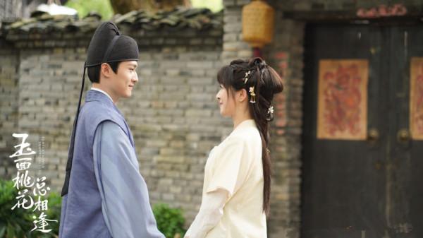《玉面桃花總相逢》湖南衛視首播，節奏慢，故事弱，演技單薄