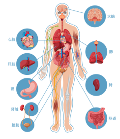 “看臉”到底看什麼? “看臉”到底看什麼?