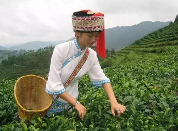 雲南這個邊境小城靠近越南,房價很低適合養老:比大理麗江更滋潤 雲南這個邊境小城靠近越南,房價很低適合養老:比大理麗江更滋潤