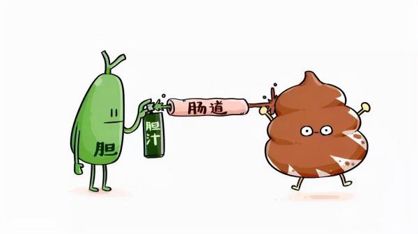 膽囊結石一定要摘除膽囊嗎？摘除了居然還有復發的風險，一文說清