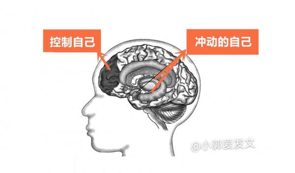 自控力極差的人如何自救? 自控力極差的人如何自救?