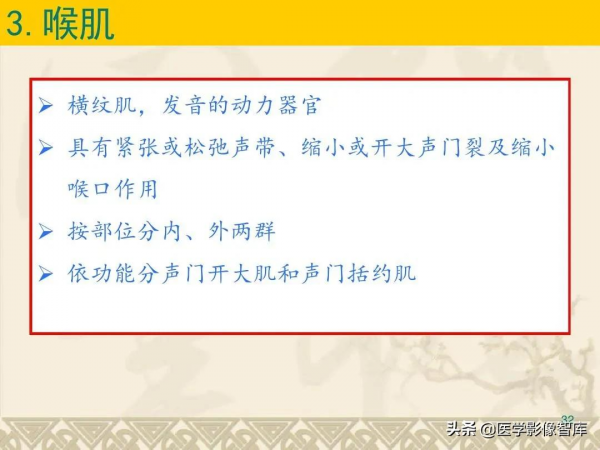 咽喉部解剖最全圖解，值得收藏