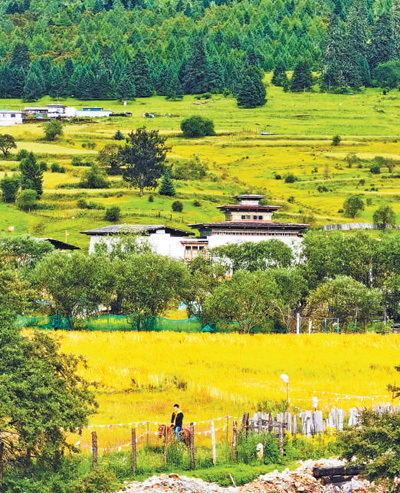 樹綠雲深處 田園滿花香 樹綠雲深處 田園滿花香