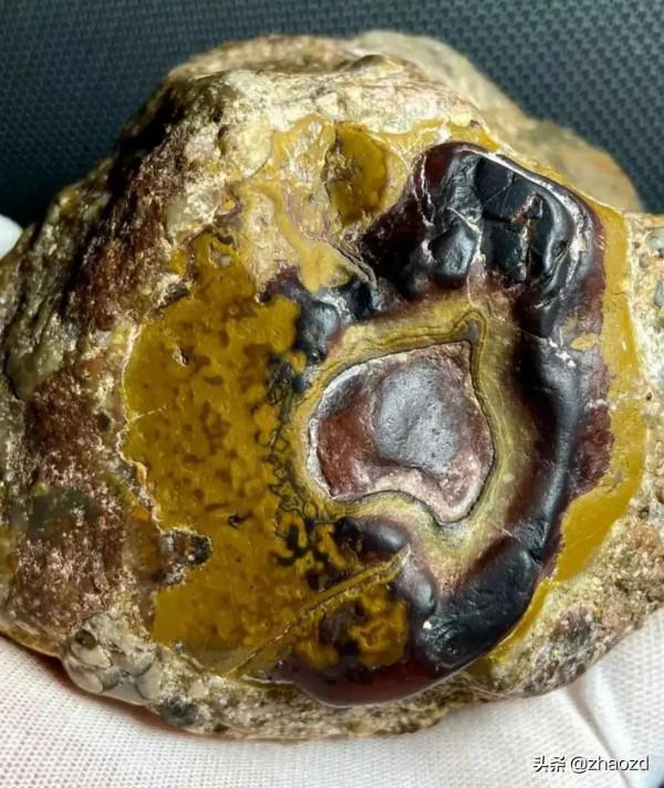 靚麗怪異奇石觀賞