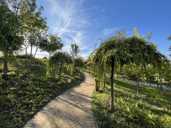 iPhone 13拍照實戰體驗：色調真實，想要高飽和度也沒問題