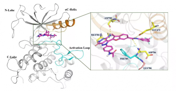 JMC | 吡唑羅「3,4 d」吡嗪酮類DDR1抑制劑的設計、合成與評價 JMC | 吡唑羅「3,4 d」吡嗪酮類DDR1抑制劑的設計、合成與評價