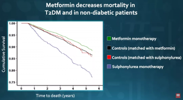 人類衰老的秘密被揭開，活到100歲是大機率事件？| 前哨