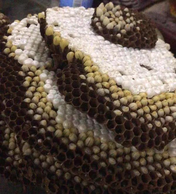 雲南獨特的民族菜，多滋多味，吃過的人忘不了