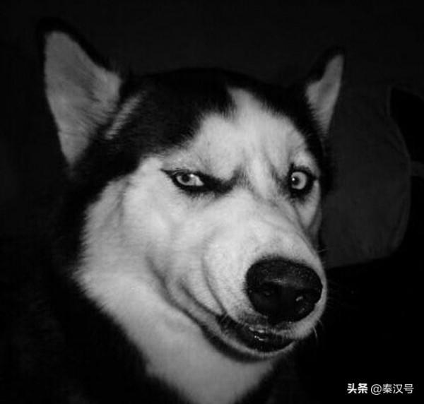 《色佛爾條約》有多狠，土耳其一次性被割71%的領土，差點亡了國