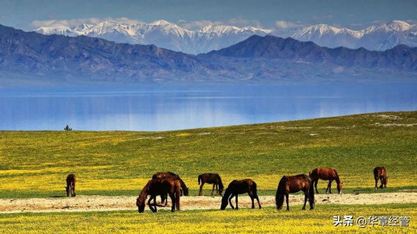 成大器者，究竟要經過幾次修煉？