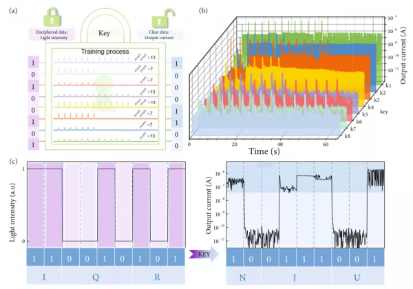&OpenCurlyDoubleQuote;市場&plus;政府&rdquo;，以內外雙驅動構建中國海洋碳匯交易市場