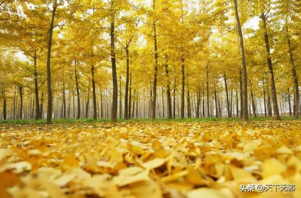 《中國無神論史》連載70——中國古代神祇信仰的餘波 《中國無神論史》連載70——中國古代神祇信仰的餘波