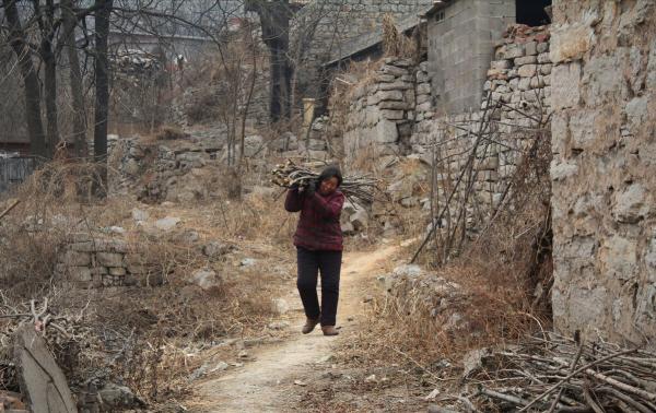 25元一斤比肉還貴!浙江大姐給雷竹“蓋棉被”,讓竹筍價格翻倍 25元一斤比肉還貴!浙江大姐給雷竹“蓋棉被”,讓竹筍價格翻倍