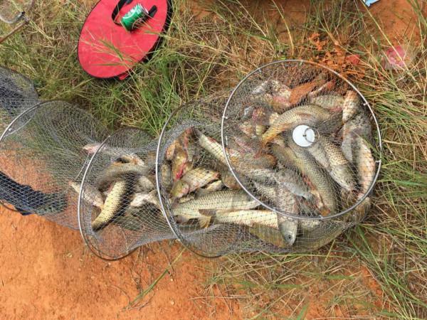 釣魚佬很黑最主要原因：陽光下出魚，根據光線選釣位技巧