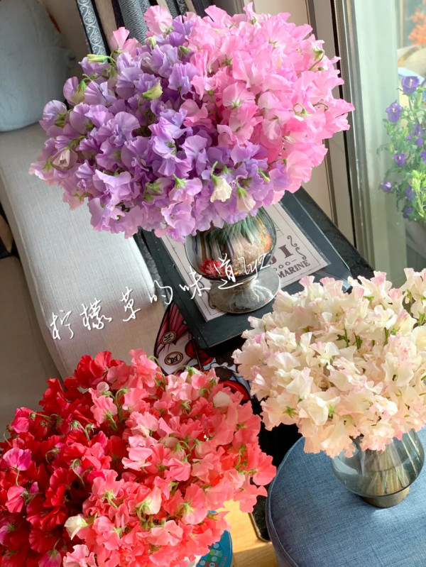 花材界的“愛馬仕”們,美貌自不必說,價格更是讓人服氣 花材界的“愛馬仕”們,美貌自不必說,價格更是讓人服氣