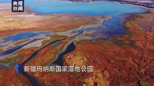 美!快來看看候鳥翻越天山前的“最後一處補給站” 美!快來看看候鳥翻越天山前的“最後一處補給站”