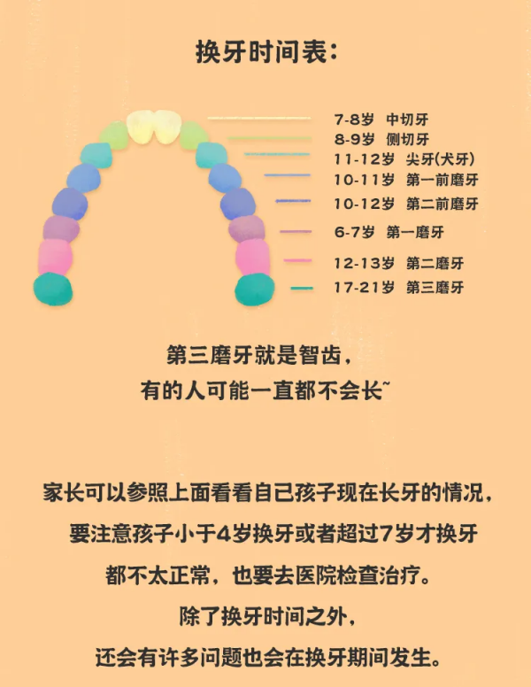 《最全兒童牙齒髮育時間表》來了!家長一定要了解 《最全兒童牙齒髮育時間表》來了!家長一定要了解