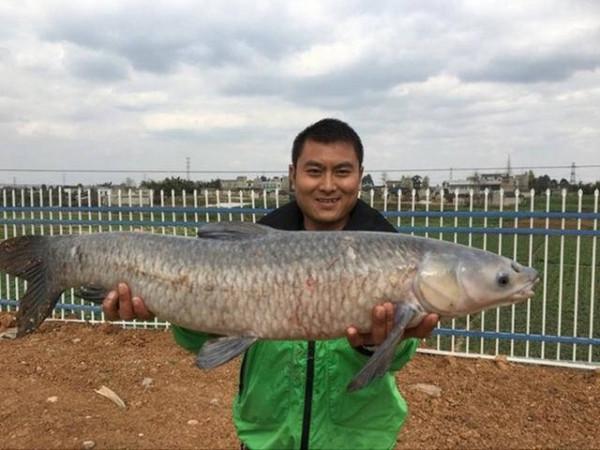 小魚釣膩了,整條大魚過過癮?這些釣大魚的技巧請收好 小魚釣膩了,整條大魚過過癮?這些釣大魚的技巧請收好
