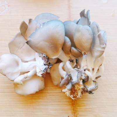 從小吃幹炸鮮蘑長大的我,誰敢說我這做法不正宗 從小吃幹炸鮮蘑長大的我,誰敢說我這做法不正宗