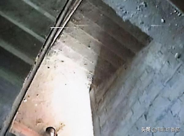 這些年離世的央視主播，兩名出意外，5位患癌逝世，最年輕僅33歲