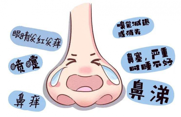 早春鼻炎反覆發作，不可盲目服用藥物，應從這兩個地方治療
