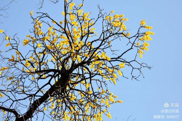 乘坐西峰索道上華山