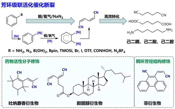 北大《Nature》：攻克一項有機化學領域重大科學難題