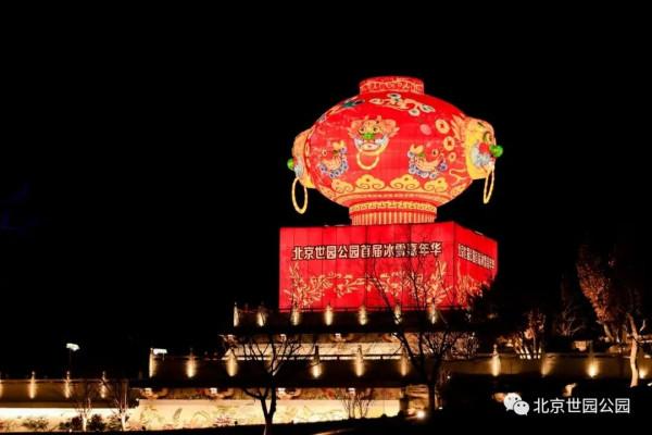 元旦去哪玩？賞花燈、看錶演、戲冰雪……