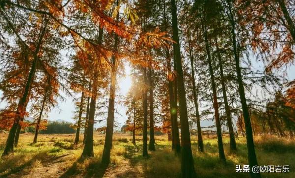 美到勾魂!10月的中國,這9個地方秋光乍洩,你應該在場啊 美到勾魂!10月的中國,這9個地方秋光乍洩,你應該在場啊