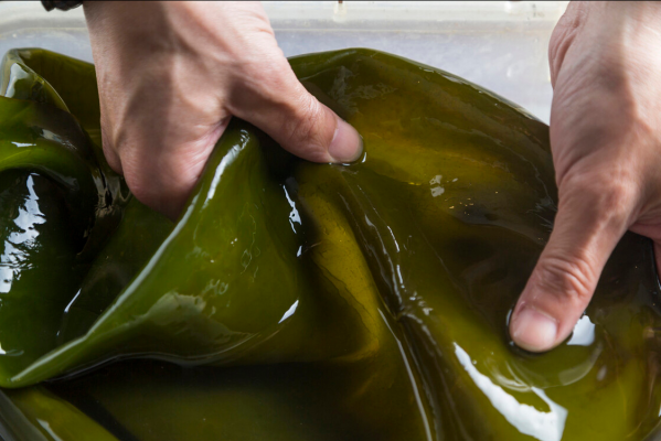 涼拌海帶絲時，2個技巧要牢記，清脆爽口真解膩，好吃沒腥味