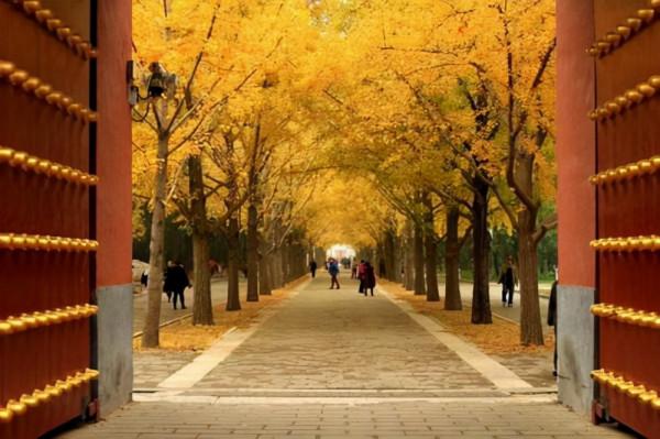 北京一冷門景點,與天壇齊名宏大肅穆,名氣卻很小少有遊客遊玩 北京一冷門景點,與天壇齊名宏大肅穆,名氣卻很小少有遊客遊玩