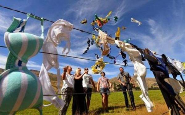 紐西蘭一奇葩景點，景點由一現象多年累積，有趣奇特令人驚奇