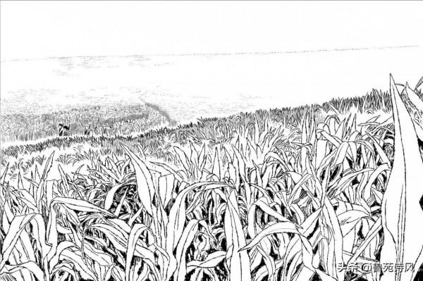 東平民兵抗日伏擊戰