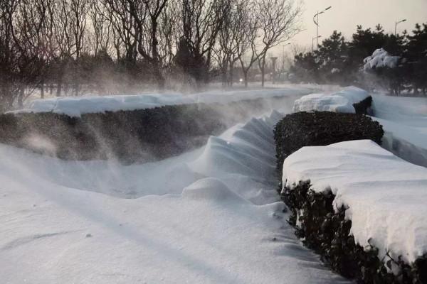 龍江抗日烽火紀實連載：我的爺爺是土匪（三）